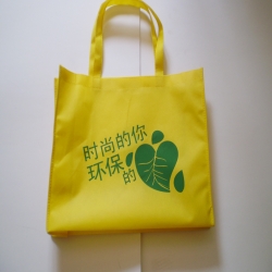 小小各色环保宣传袋 CE017