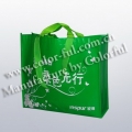 绿色提手+简单广州环保袋供应商 EN030