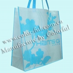 简单广州环保袋供应商 EN027