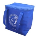 环保定制蓝色时尚1色简单印刷新广州保温制冷无纺布袋 ED028