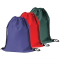 2015年新的紫色的背包袋 DC121